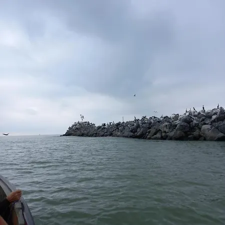 公寓 Cu 3 苏利纳