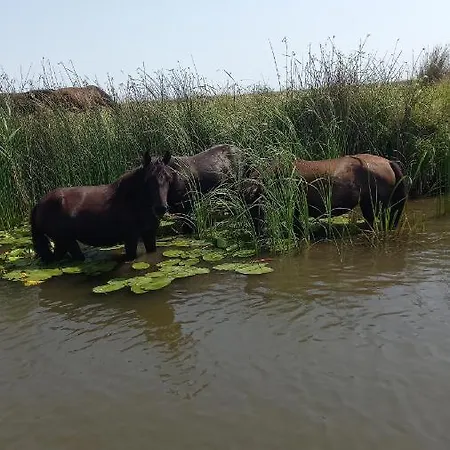 公寓 Cu 3 苏利纳